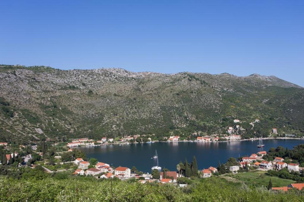 Villa Malfi Zaton  Pokoj fotografie